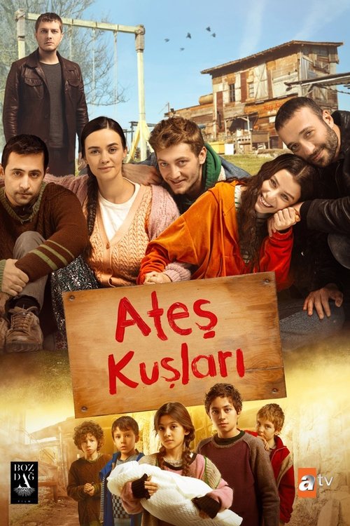 Ates Kuslari นกข้างถนน