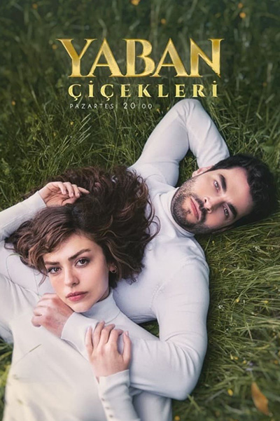 Yaban Cicekleri