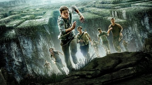 The Maze Runner (2014) เมซ รันเนอร์ : วงกตมฤตยู