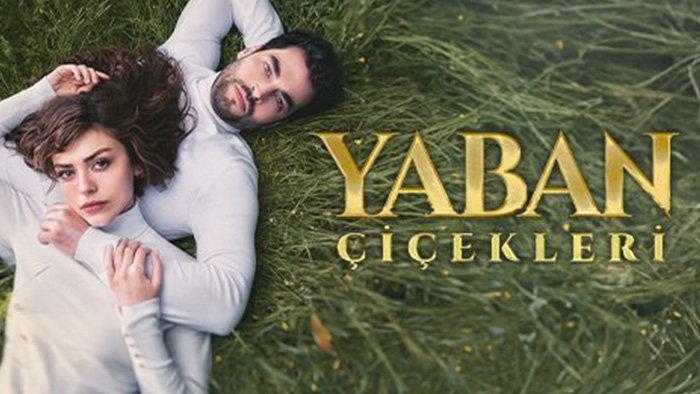 Yaban Cicekleri